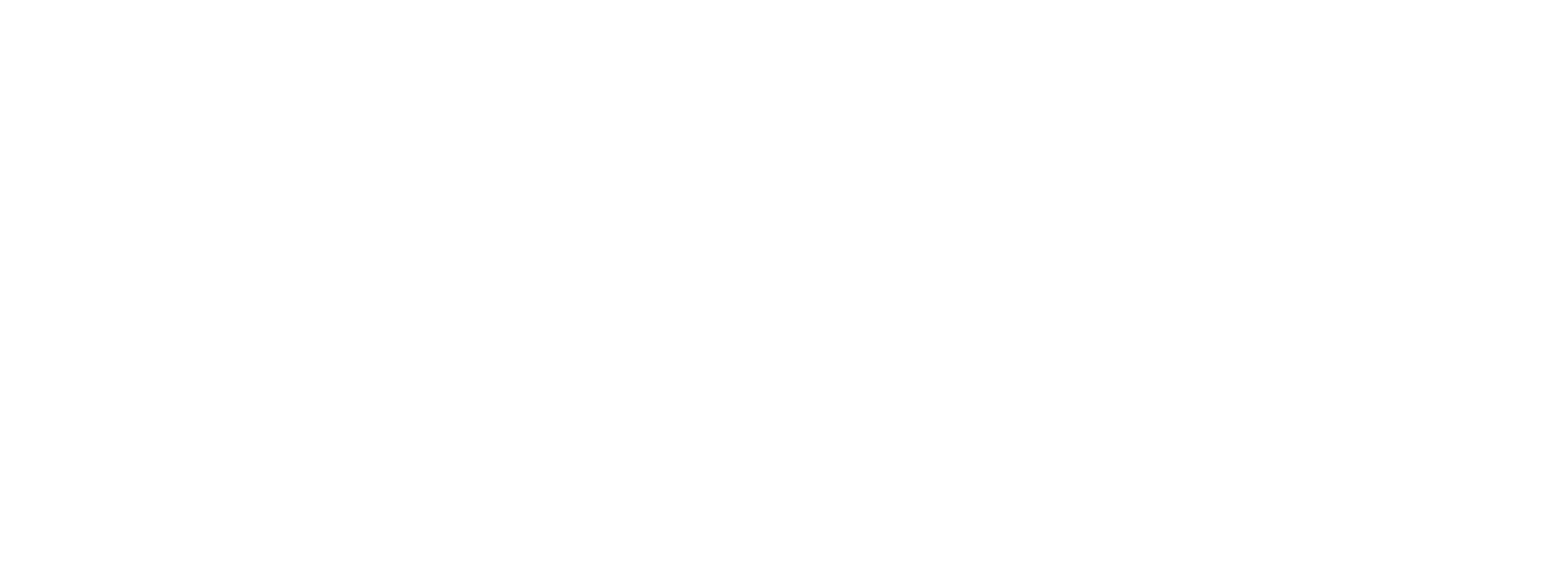 QDMS I Bimser Beyaz - PNG