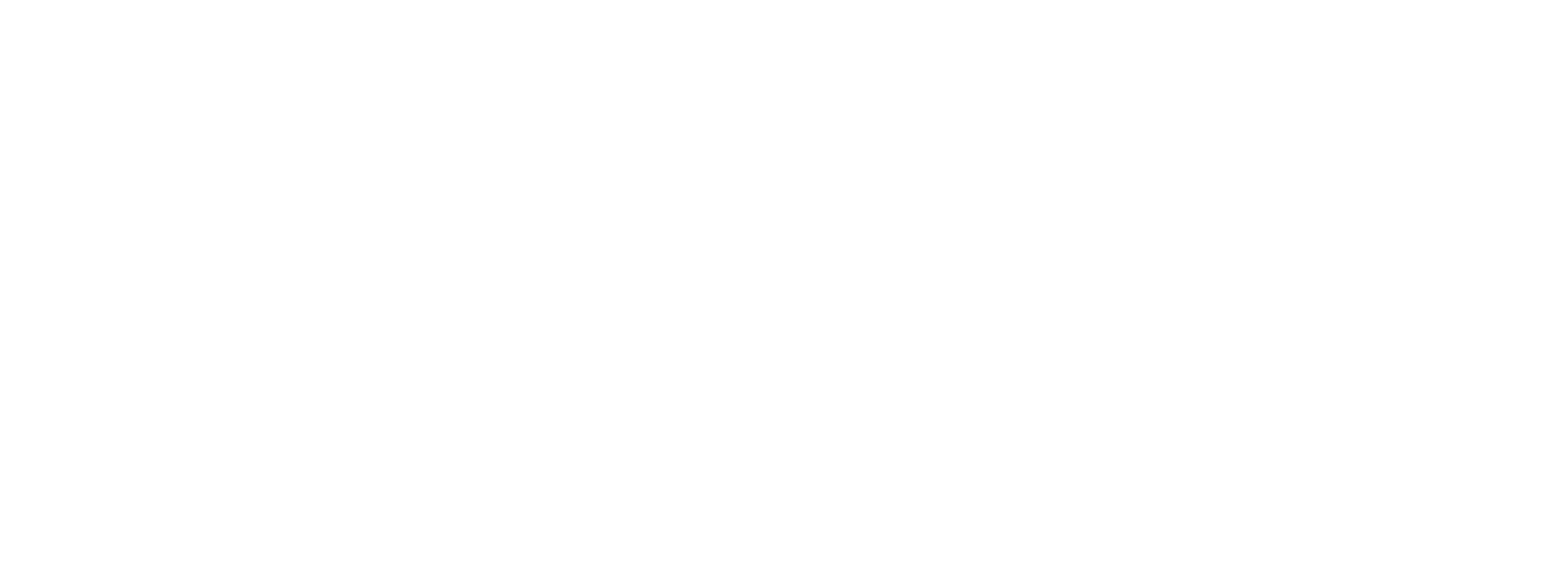 Synergy I Bimser Beyaz - PNG