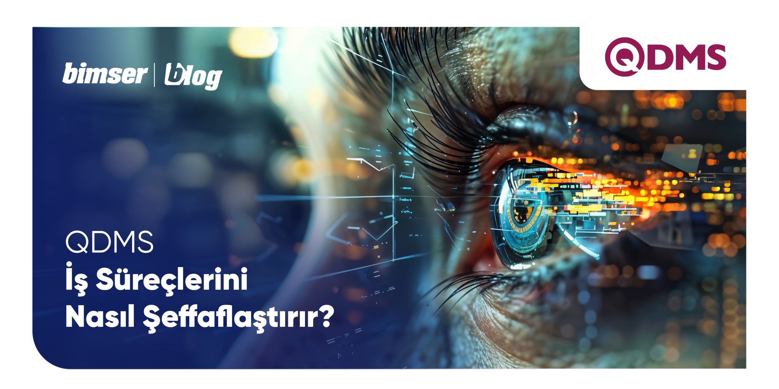 QDMS İş Süreçlerini Nasıl Şeffaflaştırır?
